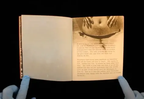 Image of an open book with test of a story on the right hand page. The image at the top of the book, small enough to fit in a human hand, is of a woman's torso with a string bikini.